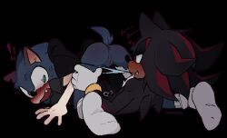 shadow the hedgehog from sega by meamyx