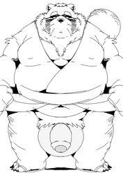 2021 absurd_res anthro asian_clothing balls belly big_balls canid canine clothing east_asian_clothing flaccid genitals hi_res humanoid_genitalia humanoid_hands humanoid_penis japanese_clothing kemono male mammal monochrome navel overweight overweight_male penis raccoon_dog sigenoya solo takotyutyu tanuki