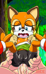 anal anal_sex anal_through_clothes ass clothed_sex clothing female fur furry huge_cock human_on_anthro male_human/female_anthro male_on_anthro marine_the_raccoon mrclearedits puffy_pussy pussy raccoon sega sonic_(series) spats through_clothes unseen_male_face