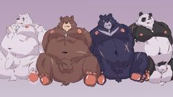 16:9 2021 anthro anus ass balls belly black_bear black_body black_nose brown_bear brown_body flaccid genitals giant_panda group kemono male male/male mammal moobs moon_bear navel nipples overweight overweight_male penis polar_bear scar simple_background sitting ursid ursine white_body widescreen yuuya333