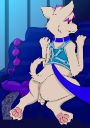 absurd_res anal_ring anthro ass bus canid canine canis collar commercial_vehicle condom dildo domestic_dog harnest hi_res highlights_(coloring) leash looking_at_viewer male mammal mrripper338 pawpads paws public_transportation sex_toy sexual_barrier_device solo vehicle