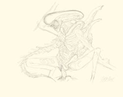 1_boy1girl alien alien_(franchise) back_spines cock coryhen_(artist) creature digitigrade extraterrestrial long_head no_eyes penis pussy scorpion_tail sharp_tail tail vagina xenomorph