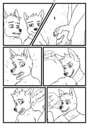 aariel anthro axel bathroom canid canine comic duo genitals hi_res male male/male mammal penis spanish_text surprised_expression text touching_hand translated wolfyalex96_(artist)