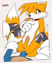 anthro balls canine fox fur gay hedgehog interspecies male male_only male_pov mammal multiple_males nude onta penis pov sega sex sonic_(series) sonic_the_hedgehog sonic_the_hedgehog_(series) sonic_the_hedgehog_2 tails yaoi