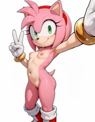 amy rose from sega