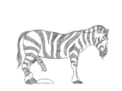 4:3 animal_genitalia animal_penis animated equid equine equine_penis erection female feral ftm_transformation fur gender_transformation genitals human male mammal penis short_playtime simple_background solo species_transformation stripes transformation witte_konijn zebra