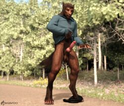 3d_(artwork) animal_genitalia animal_penis anthro canid canine canine_penis canis claws clothed clothing digital_media_(artwork) erection fluffy forest fur genitals hi_res hoodie male male_only mammal partially_clothed penis plant shawoo solo surprise teeth topwear transformation tree underwear underwear_down were werecanid werecanine werewolf wolf