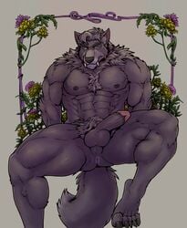 2021 abs anthro anus ass balls biceps blue_eyes brown_drawing_kuma canid canine canis chest_tuft claws digital_media_(artwork) ear_tuft erection fangs floral_background front_view fur genitals grey_body grey_fur grey_hair hair hi_res humanoid_genitalia humanoid_penis magnus_(wolfstar) male mammal muscular muscular_anthro muscular_male neck_tuft nipples nude pecs penis perineum presenting presenting_balls presenting_penis pubes quads sharp_teeth simple_background sitting solo tail_tuft teeth toe_claws triceps tuft wolf