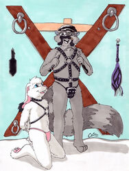 2001 3:4 anthro bondage bondage bound collar dominant dominant_male duo facial_hair flogger guppy_(artist) harness kneeling lagomorph leather leather_harness leporid male male/male mammal paddle procyonid rabbit raccoon riding_crop saint_andrew's_cross standing studded_collar studded_leather submissive submissive_male whip