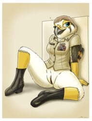 american_kestrel anthro avian beak bedroom_eyes bird boots border bottomless bottomless_female breasts clitoris clothed clothing evy_(fish_birb) falcon falconid female fish_birb footwear furry furry_only genitals heart hi_res kestrel military military_clothing military_uniform narrowed_eyes navy partially_clothed pinup pose presenting presenting_pussy pussy seductive solo spread_legs spreading u.s._navy uniform white_border