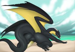 anus ass balls beach black_balls black_body claws dragon feral genitals horn male outside penis rear_view revo_(character) scalie seaside sky solo staffkira2891 tongue tongue_out wings yellow_penis