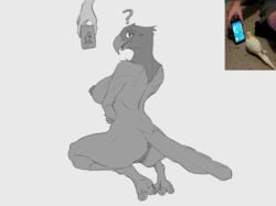 2021 3_toes ? anthro anus ass athletic athletic_anthro athletic_female avian beak big_breasts big_butt bird blue_sky_studios breasts claws cockatiel cockatoo confusion deltoids duo feathers feet female genitals hi_res jewel_(rio) kneeling looking_at_viewer looking_back meme nipples nude parakeet parrot phone puffy_nipples pussy rear_view rio_(series) shredded_wheat simple_background solo_focus tail_feathers talons text thick_thighs toes tongue translated true_parrot