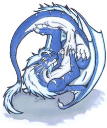 anus blue_body dragon female feral fur furred_dragon genitals multicolored_body pussy signature simple_background solo spread_pussy spreading tail_tuft tuft two_tone_body tylon tylon_(artist) tylon_(character) upside-down white_background white_body wings