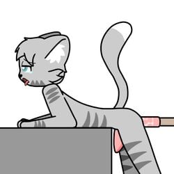 1:1 animated anthro black_nose blue_eyes bodily_fluids dcat07 dipstick_tail domestic_cat felid feline felis forced fucking_machine fur genitals gif grey_body grey_fur grey_hair grey_stripes grey_tail hair hi_res inner_ear_fluff machine male mammal markings open_mouth penis pink_penis pink_tongue punishment sex_machine sex_toy short_hair short_playtime solo striped_body striped_fur stripes tail_markings tapering_penis tears tongue tongue_out toy tuft white_body white_fur white_inner_ear_fluff white_tail