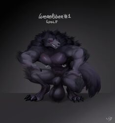 1boy 4_toes animal_genitalia anthro balls big_balls big_sheath canid canine clothed clothing erect_nipples feet fully_sheathed genitals hi_res huge_balls male male_only mammal nipple_piercing nipples piercing red_eyes sheath solo squatting thick_sheath toes useless_clothing were werecanid werecanine weretober werewolf wyth