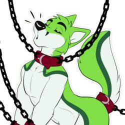 1:1 alpha_channel anthro binder_(restraint) bondage bondage bound canid canine canis chained chains collar digital_media_(artwork) fidget_the_fox fox fur hair halloween holidays kwik_(artist) male mammal nude open_mouth restraints simple_background solo telegram telegram_stickers white_body white_fur