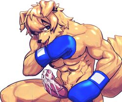 0onooo66 2021 6:5 anthro black_nose blonde_hair blue_boxing_gloves blue_clothing blue_gloves blue_handwear bodily_fluids boxing_gloves boxing_gloves_only canid canine canis cheek_tuft clothing cum cum_on_own_penis cum_on_penis cum_on_self domestic_dog facial_tuft floppy_ears fur genital_fluids genitals gloves hair handwear handwear_only humanoid_genitalia humanoid_penis kemono male male_focus male_only male_solo mammal mostly_nude muscular penis simple_background solo solo_male tongue tongue_out tuft vein veiny_penis white_background yellow_body yellow_fur