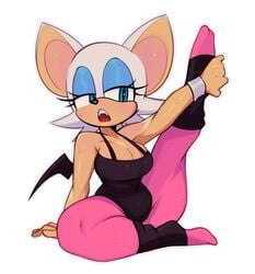 1girls anthro big_breasts cleavage female female_only fiinel gym_clothes leotard lifting_leg rouge_the_bat solo sonic_(series) sonic_the_hedgehog_(series) stretching sweat thick_thighs tights workout workout_clothes