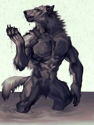 animal_genitalia animal_penis anthro balls canid canine canis claws closed_(disambiguation) closed_eyes digitigrade fluffy fully_sheathed fur genitals hi_res male mammal muscular neck_tuft nmvsolidus penis raining sheath solo tuft were werecanid werecanine werewolf wet wet_body wet_fur wolf