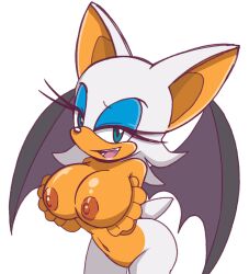 rouge the bat from sonic (series) by senshion
