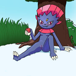 1:1 anthro apple arm_support bent_leg blue_body blush breasts claws cute_fangs featureless_breasts female food genitals glistening glistening_body grass hi_res holding_food holding_object looking_at_viewer neatnick nintendo nude outside plant pokémon_(species) pokemon pussy red_eyes sitting sky small_breasts snow solo tall_grass tree video_games weavile