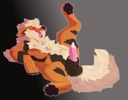 animal_genitalia animal_penis anthro anthrofied arcanine battycat canid canine canine_genitals canine_penis genitals hi_res leaning leaning_back male male_only mammal nintendo penis pokémorph pokemon pokemon_(species) raised_leg solo solo_male video_games