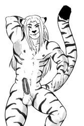 anthro black_penis erection felid genitals hi_res male mammal meekmiki monochrome pantherine penis pinup pose sakuri_rainne solo stripes tiger