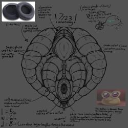 7723_(next_gen) anatomy anatomy_reference diagram enlarged_clitoris intersex intersex_only large_clitoris next_gen nonbinary nonbinary_only presenting presenting_pussy reference_sheet robot robot_only study transmasc vulva_close-up
