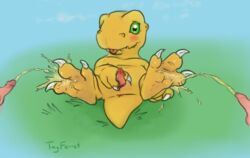 agumon bandai_namco bodily_fluids claws digimon digimon_(species) dinosaur feet feral gay genital_fluids genitals grass green_eyes group human humanoid_genitalia humanoid_penis male male_only mammal not_furry peeing penis plant reptile scales scalie tayferret tongue tongue_out urine urine_stream yaoi yellow_body yellow_scales young