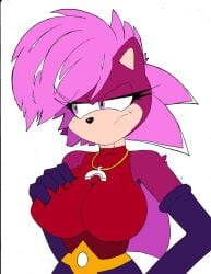 sonia the hedgehog from sega by zhengfox
