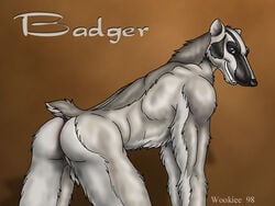 1990s 1998 20th_century 4:3 all_fours anthro artist_name ass badger balls black_body black_fur black_nose facial_markings fur genitals grey_body grey_fur grin head_markings male mammal markings multitoned_fur muscular muscular_male mustelid musteline nude perineum presenting presenting_hindquarters raised_tail smile solo teeth three-quarter_view white_body white_fur wooky