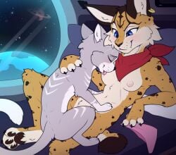 animal_genitalia anthro anthro_on_feral bed blue_eyes blush breast_lick breast_play breasts clothing domestic_cat duo felid feline felis female female_on_feral female_penetrated feral feral_penetrating from_front_position fur furniture genitals grey_body grey_fur haiiroyuki_(zekeofgods) handkerchief hi_res kerchief licking lying lying_on_bed lynx male male/female male_on_top mammal medium_breasts meraence miyu_(star_fox) nintendo nipples on_back on_bed on_top panties penetration pillow sex space spacecraft star_fox tongue underwear vaginal_penetration vehicle white_body white_fur yellow_body zoophilia