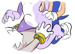 blaze the cat from sega by quavernsfw