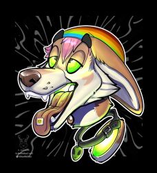 Canid Rule 34 Image