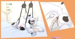 Belly Rule 34 Image