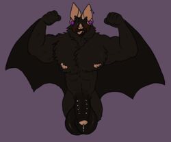 absurd_res anthro balls bat_wings big_balls bodily_fluids chiropteran cum genital_fluids genitals hi_res huge_balls hyper hyper_balls hyper_genitalia looking_at_viewer male mammal membrane_(anatomy) membranous_wings nipples nude penis piercing solo sstinkies wings