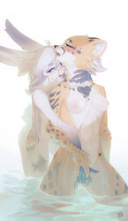 2021 anthro anthro_on_anthro blush brown_body brown_fur brown_spots digital_media_(artwork) duo felid female female/female finger_fuck fingering fur hair hi_res lagomorph leporid looking_at_viewer mammal mzhh open_mouth open_smile partially_submerged rabbit shaded smile spots spotted_body spotted_fur standing vaginal_penetration water white_body white_fur white_hair yellow_body yellow_fur