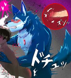 2boys abs anal anthro anthro_penetrating anthro_penetrating_human blue_body blue_eyes blue_fur blush bodily_fluids breath breke canid canine canis clenched_teeth duo fur gay genitals heart holding_partner human human_on_anthro human_penetrated internal interspecies japanese_text kannepaz larger_anthro lifewonders male male/male male_only mammal multiple_boys muscular muscular_anthro muscular_male nipples nude pecs penetration penis protagonist_(tokyo_afterschool_summoners) protagonist_4_(tokyo_afterschool_summoners) sex size_difference smaller_human smaller_penetrated sweat teeth text tokyo_afterschool_summoners video_games wolf yaoi