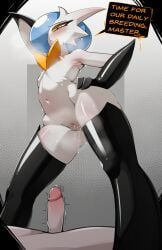 arm_gloves belly_button blue_hair completely_nude english english_text fir3born flat_chest flat_chested gardevoir human human_on_pokemon imminent_sex imminent_vaginal mega_evolution mega_gardevoir midriff nipples penis pokemon pokemon_(species) pokephilia pussy shiny_gardevoir shiny_pokemon speech_bubble tagme thighhighs wet wet_pussy yellow_eyes