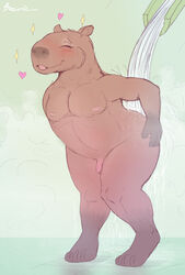 absurd_res anthro blush brown_body brown_fur brownieclop capybara casual_nudity caviid digital_media_(artwork) english_text fur furry furry_only genitals heart hi_res looking_pleasured male male_only mammal nipples nude penis rodent sauna simple_background smile solo steam text water