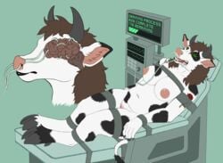 anthro bondage bondage bound bovid bovine brain brainwashing cattle devilenby female hi_res intelligence_loss machine mammal medical_instrument mind_control nasal_penetration organs progress_bar scientific_instrument screen solo spiral_eyes strapped_down