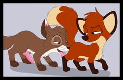 anatomically_correct anatomically_correct_genitalia anatomically_correct_penis animal_genitalia animal_penis black_border black_nose blue_eyes border brown_body brown_fur butt_sniffing canid canine canine_penis duo erection female feral fox fur genitals half-closed_eyes hi_res jungledyret_hugo leg_markings looking_back male male/female mammal markings narrowed_eyes neapolitan_ice_cream_(skateryena) orange_body orange_fur penis pink_eyes rita_(jungledyret) skateryena sniffing socks_(marking) tongue tongue_out whiskers