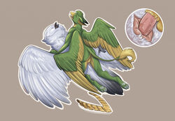 absurd_res animal_genitalia anthro anthro_on_feral anthro_penetrating anthro_penetrating_feral avian beak bird bodily_fluids bubo_(genus) cloaca cloacal cloacal_penetration closed_eyes cum feathers feral feral_penetrated fluffy from_front_position genital_fluids genitals gryphon heart hi_res jewelry lying male male/male male_on_feral missionary_position mythological_avian mythology necklace nyxapnea on_back orgasm owl penetration reclus same-species_bestiality sex size_difference snowy_owl spread_legs spreading tail_feathers thrusting true_owl vilver_(hooter) zoophilia