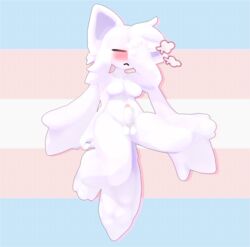 3d_(artwork) absurd_res anthro balls canid canine digital_media_(artwork) english_text erection fur genitals hair hi_res mammal nude penis pride_colors pride_flag simple_background solo text tivkey_(artist) transgender_pride_colors waking_up