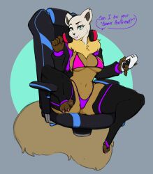 absurd_res anthro artz bikini chair claws clothing colored_edge_bikini controller domestic_ferret english_text female furniture furry game_controller gaming_chair hi_res legwear looking_at_viewer mammal mostly_nude multi_nipple mustelid musteline navel nipples sitting solo spread_legs spreading swimwear text triangle_bikini true_musteline two-piece_swimsuit weasel