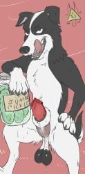 balls canid canine canine_penis canis dangerdoberman domestic_dog feral half-erect licking_lips male mr._pickles penis presenting sagging_balls sheath solo solo_male third-party_edit tongue tongue_out