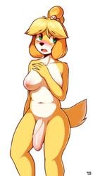 absurd_res animal_crossing anthro big_penis blonde_hair breasts canid canine canis domestic_dog foreskin fur futa_only futanari genitals green_eyes gynomorph hair hi_res intersex isabelle_(animal_crossing) mammal marblesoda nintendo nipples partially_retracted_foreskin penis shy vein veiny_penis video_games white_body white_fur yellow_body yellow_fur