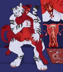 absurd_res andromorph andromorph/male anthro ares_(devilenby) bite bite_mark blood bodily_fluids bruised cade_(crypticcade) cum cum_in_pussy cum_in_uterus cum_inside cuntboy demon devilenby duo fallopian_tubes felid forced furry furry_only genital_fluids genitals gore hi_res impregnation internal intersex intersex/male male mammal multiple_images ovaries ovum pantherine penetration penile_spines penis pussy rape scratch_mark scratching sperm_cell spread_legs tiger uterus vaginal_penetration