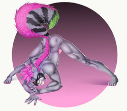 8:7 absurd_res anthro ass_up claws collar colored_nails ear_piercing ear_ring ethan_bedlam forked_tongue fur furry furry_only green_eyes hair hi_res jack-o'_pose licking licking_lips luhehehe male male_only mammal mohawk muscular muscular_male nails nude painted_claws piercing pink_hair pose procyonid raccoon solo spiked_collar spikes tail tongue tongue_out