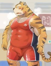 1boy 2021 anthro balls_outline blush bodily_fluids bulge clothed clothing erection erection_under_clothing felid fur genital_outline hi_res humanoid_hands kemono male mammal muscular muscular_male nipples pantherine pecs penis_outline shiike999 solo solo_male sweat tiger wrestling_singlet yellow_body yellow_fur